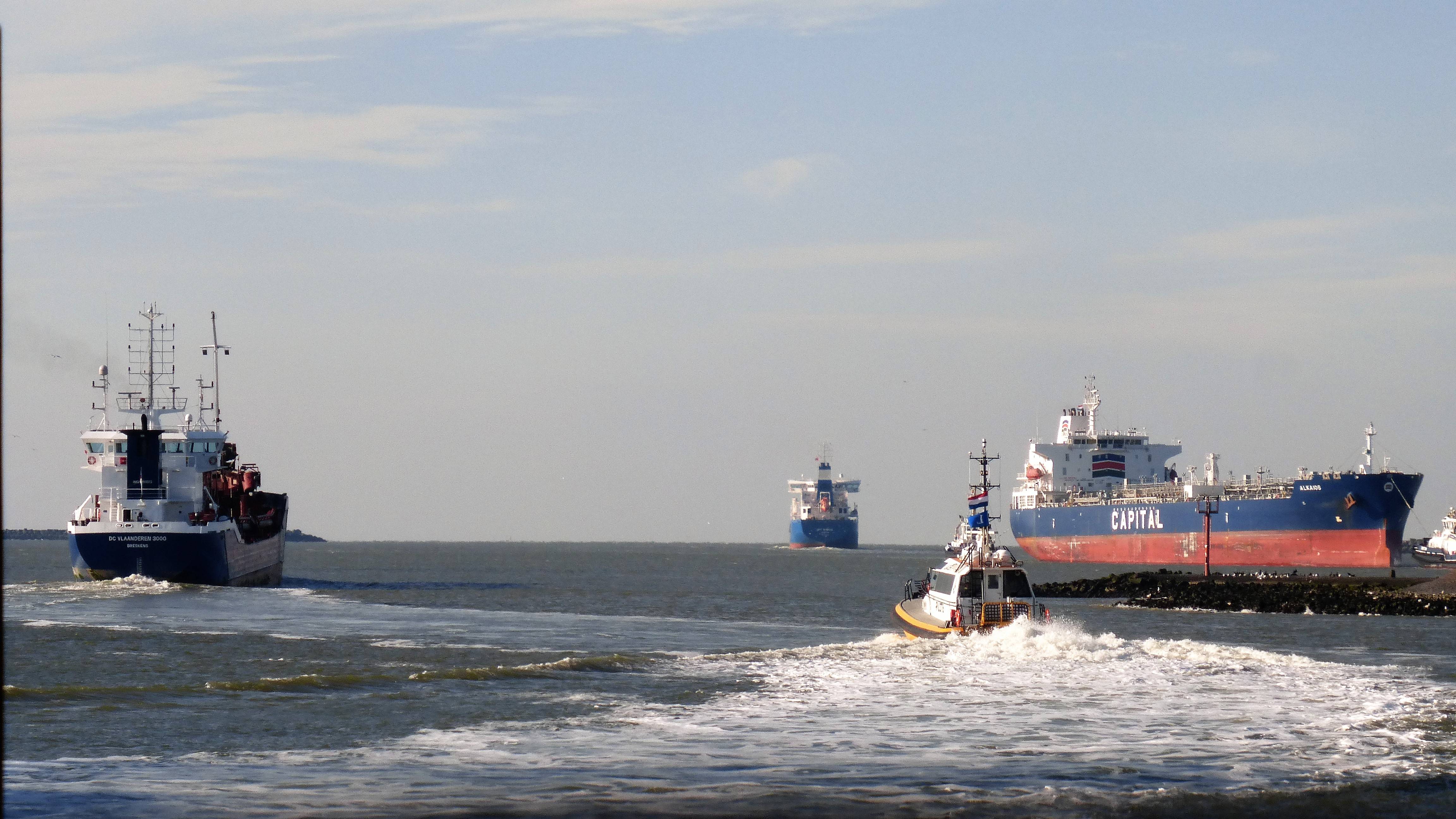 Pieren IJmuiden 06-02-18 